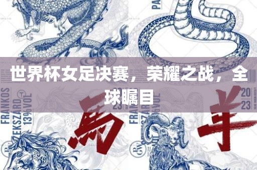 世界杯女足决赛，荣耀之战，全球瞩目