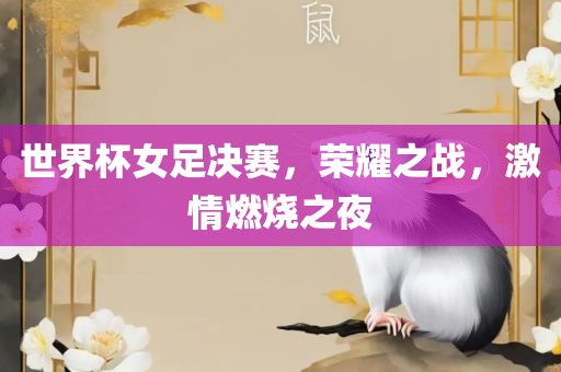 世界杯女足决赛，荣耀之战，激情燃烧之夜