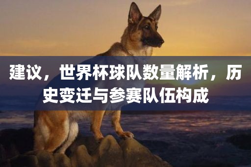建议，世界杯球队数量解析，历史变迁与参赛队伍构成