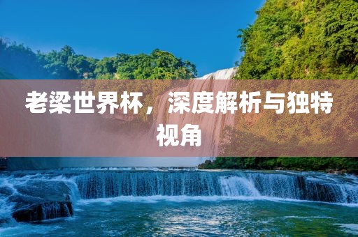 老梁世界杯，深度解析与独特视角眉山市正发家政服务有限公司