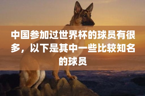 中国参加过世界杯的球员有很多，以下是其中一些比较知名的球员