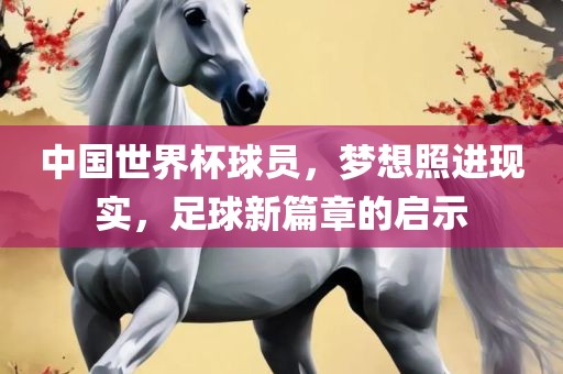 中国世界杯球员，梦想照进现实，足球新篇章的启示