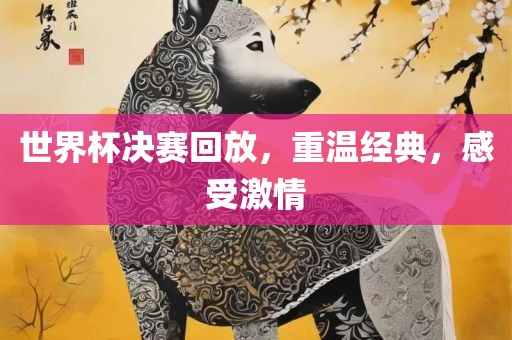 世界杯决赛回放，重温经典，感受激情