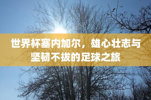 世界杯塞内加尔，雄心壮志与坚韧不拔的足球之旅
