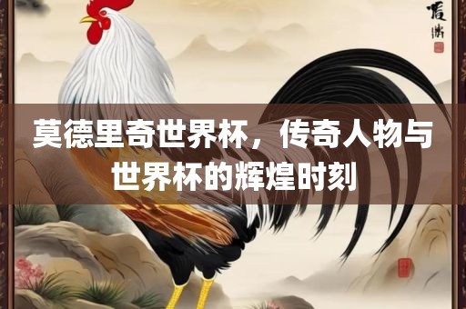 莫德里奇世界杯，传奇人物与世界杯的辉煌时刻