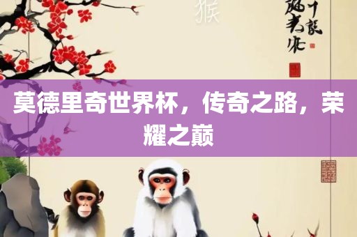 莫德里奇世界杯，传奇之路，荣耀之巅