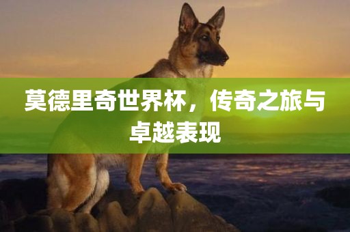 莫德里奇世界杯，传奇之旅与卓越表现