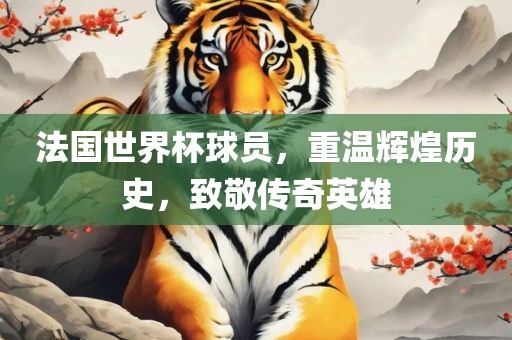 法国世界杯球员，重温辉煌历史，致敬传奇英雄