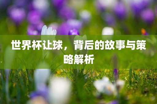 世界杯让球，背后的故事与策略解析眉山市正发家政服务有限公司