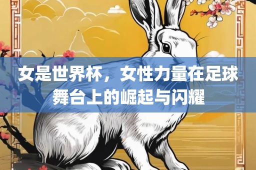女是世界杯，女性力量在足球舞台上的崛起与闪耀眉山市正发家政服务有限公司