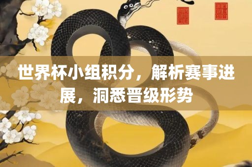 世界杯小组积分，解析赛事进展，洞悉晋级形势