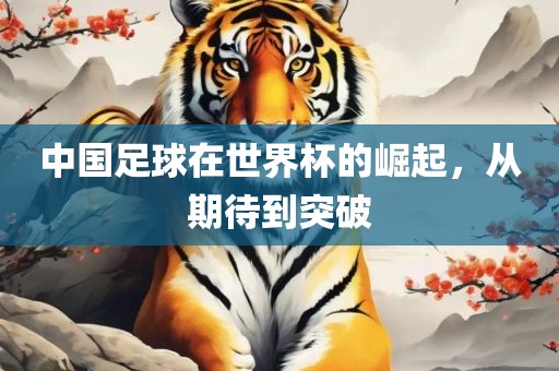 中国足球在世界杯的崛起，从期待到突破