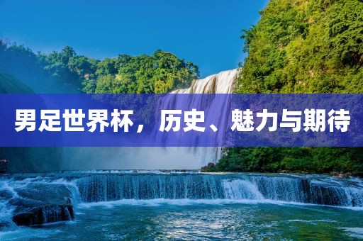 男足世界杯，历史、魅力与期待眉山市正发家政服务有限公司