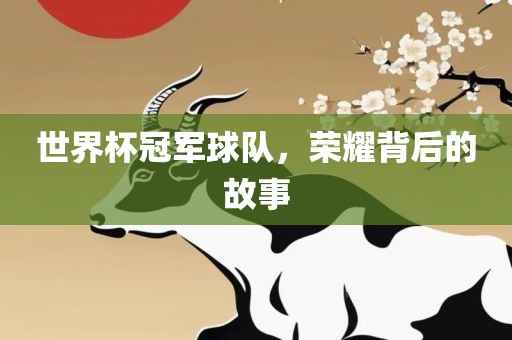 世界杯冠军球队，荣耀背后的故事