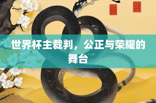 世界杯主裁判，公正与荣耀的舞台