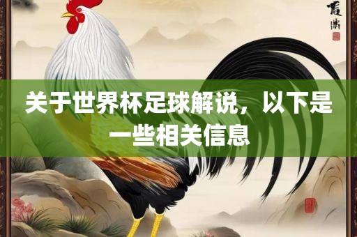 关于世界杯足球解说，以下是一些相关信息