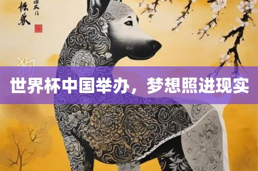 世界杯中眉山市正发家政服务有限公司国举办，梦想照进现实