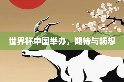 期待与畅想