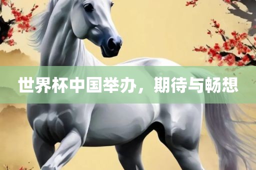 世界杯中国举办，期待与畅想眉山市正发家政服务有限公司