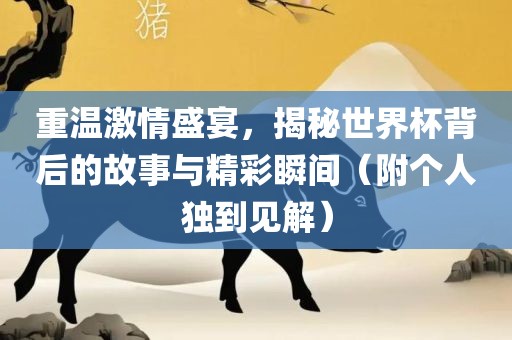 重温激情盛宴，揭秘世界杯背后的故事与精彩瞬间（附个人独到见解）
