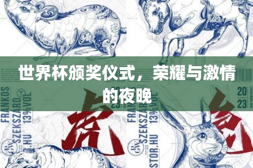 世界杯颁奖仪式，荣耀与激情的夜晚