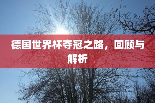 德国世界杯夺冠之路，回顾与解析