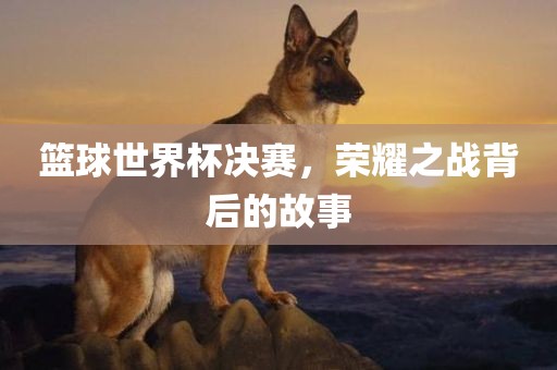 篮球世界杯决赛，荣耀之战背后的故事