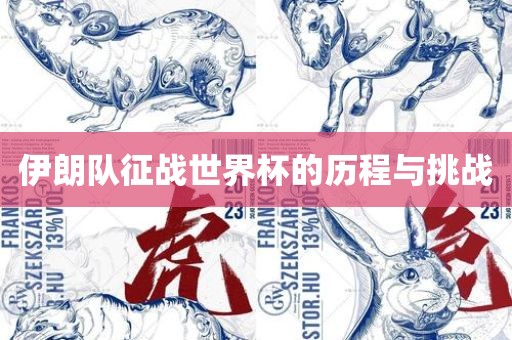 伊朗队征战世界杯的历程与挑战眉山市正发家政服务有限公司