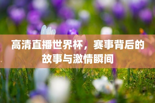 高清直播世界杯，赛事背后的故事与激情瞬间
