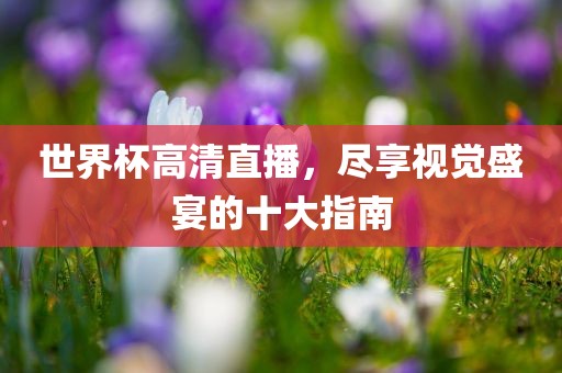 世界杯高清直播，尽享视觉盛宴的十大指南