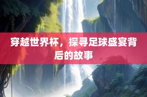 足球盛宴背后的故事 第5页