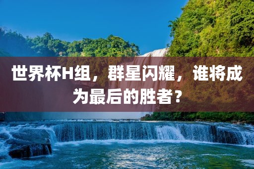 世界杯H组，群星闪耀，谁将成为最后的胜者？