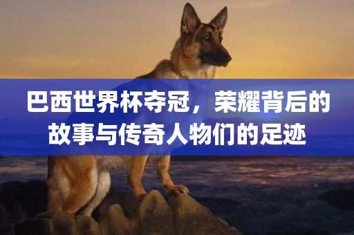 巴西世界杯夺冠，荣耀背后的故事与传奇人物们的足迹