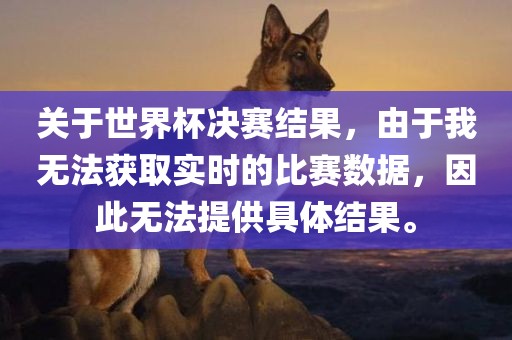 关于世界杯决赛结果，由于我无法获取实时的比赛数据，因此无法提供具体结果。眉山市正发家政服务有限公司