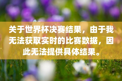 关于世界杯决赛结果，由于我无法获取实时的比赛数据，因此无法提供具体结果。