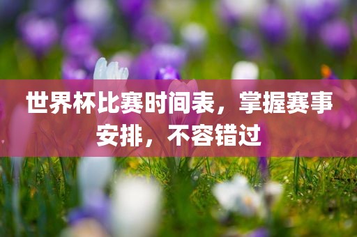 世界杯比赛时间表，掌握赛事安排，不容错过