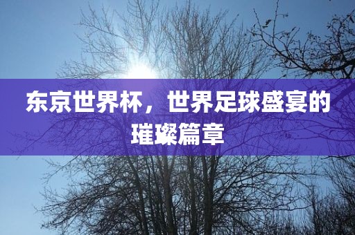 东京世界杯，世界足球盛宴的璀璨眉山市正发家政服务有限公司篇章