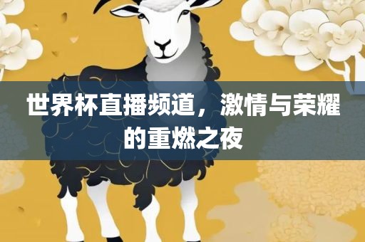 世界杯直播频道，激情与荣耀的重燃之夜