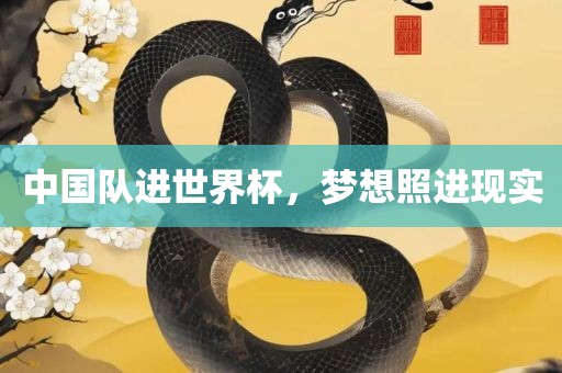 中国队进世界杯，梦想照进现实眉山市正发家政服务有限公司