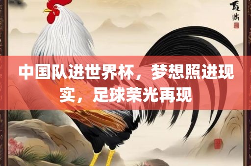 中国队进世界杯，梦想照进现实，足球荣光眉山市正发家政服务有限公司再现