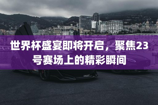 世界杯盛宴即将开启，聚焦23号赛场上的精彩瞬间