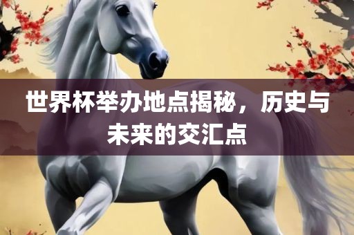 世界杯举办地点揭秘，历史与未来的交汇点