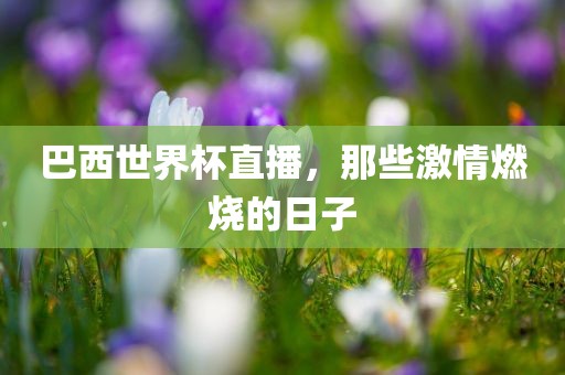 巴西世界杯直播，那些激情燃烧的日子