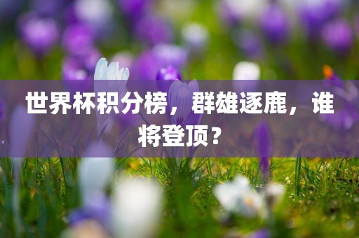 世界杯积分榜，群雄逐鹿，谁将登顶？眉山市正发家政服务有限公司