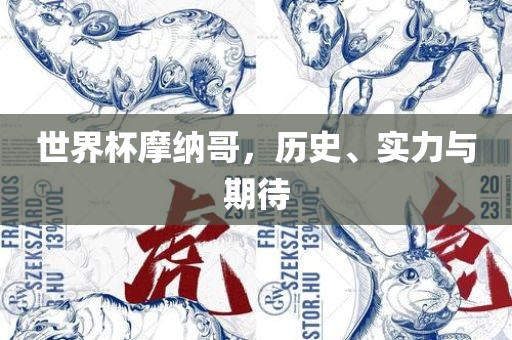 世界杯摩纳哥，历史、实力与期待