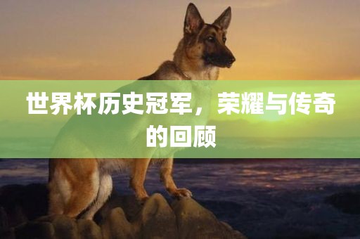 世界杯历史冠军，荣耀与传奇的回顾