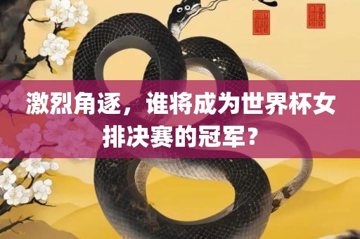 激烈角逐，谁将成为世界杯女排决赛的冠军？