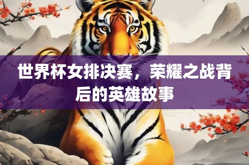 世界杯女排决赛，荣耀之战背后的英雄故事