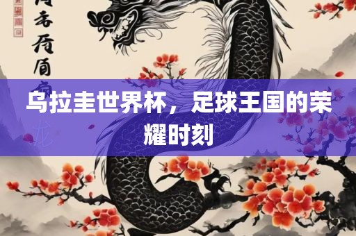 乌拉圭世界杯，足球王国的荣耀时刻