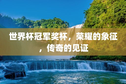 世界杯冠军奖杯，荣耀的象征，传奇的见证